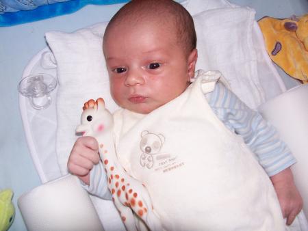 Ethan et sa girafe Sophie