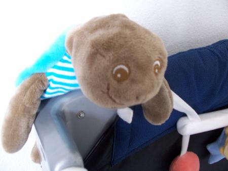 Ma tortue en peluche
