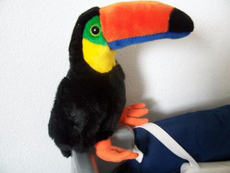 Mon toucan qui gazouille