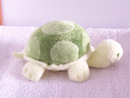 Ma petite tortue toute douce